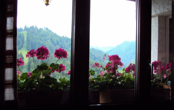 18_6 018.jpg