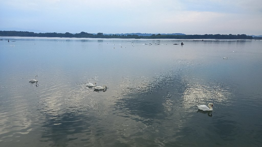 20220621_184252.jpg