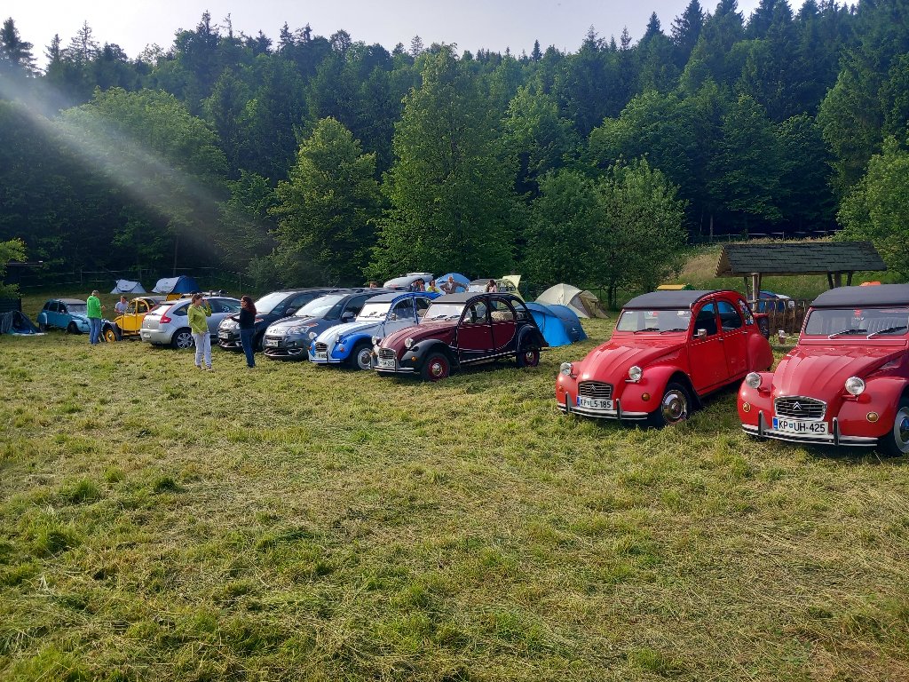 20240525_175257.jpg