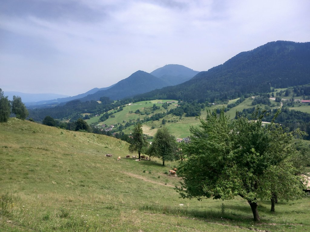 20240620_145248.jpg