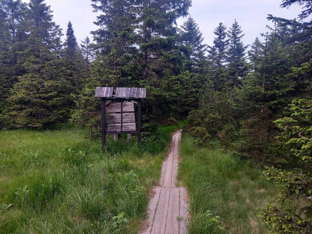 20240620_192550.jpg