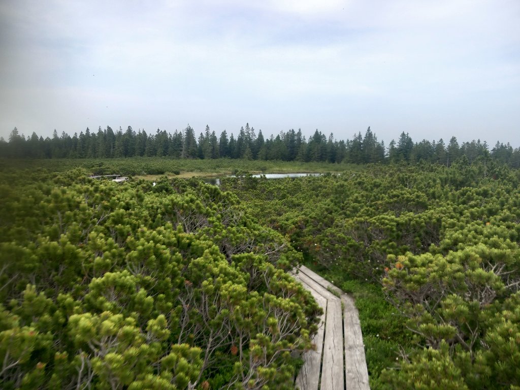 20240620_192724.jpg