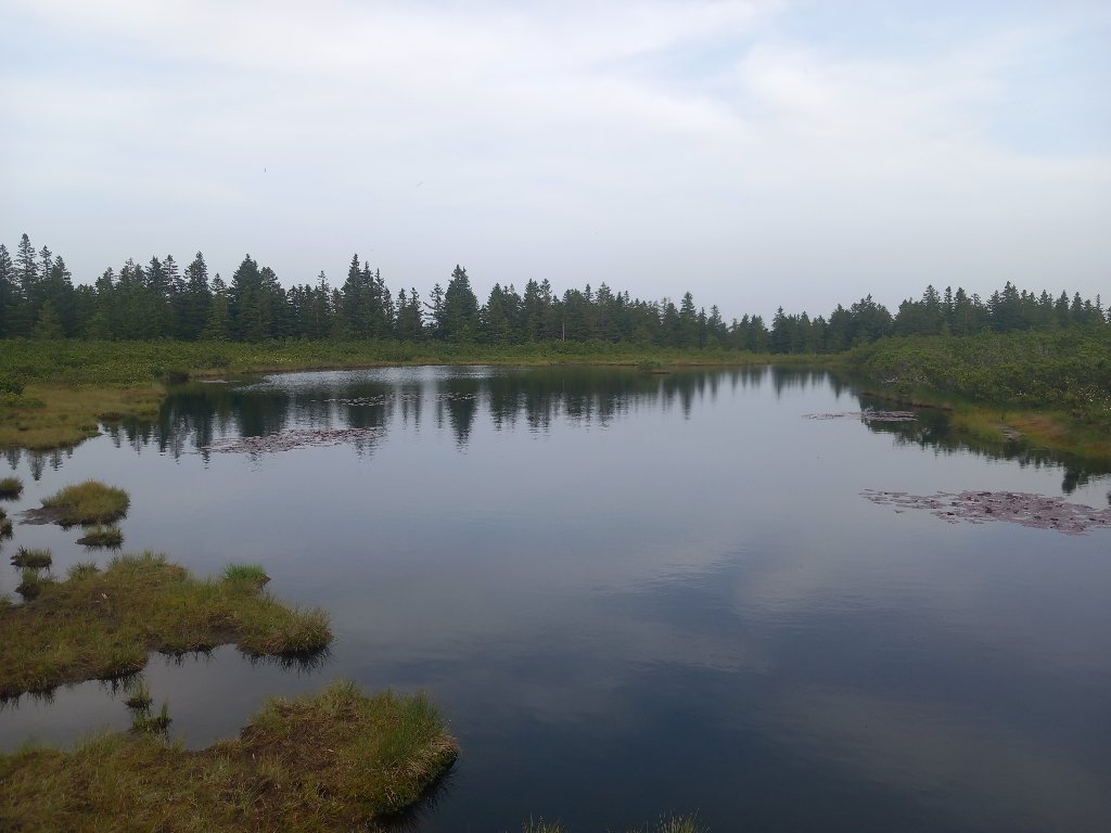 20240620_192758.jpg