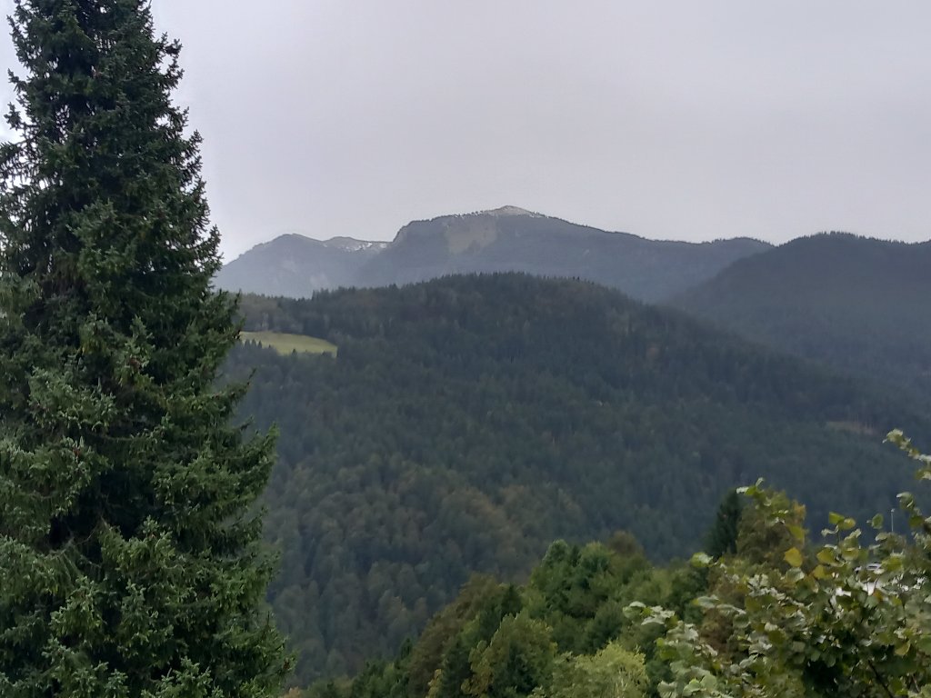 20240914_172038.jpg