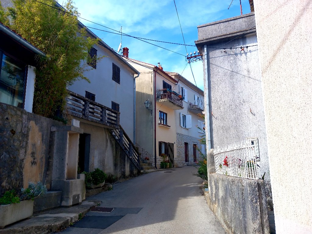 20240922_125307.jpg