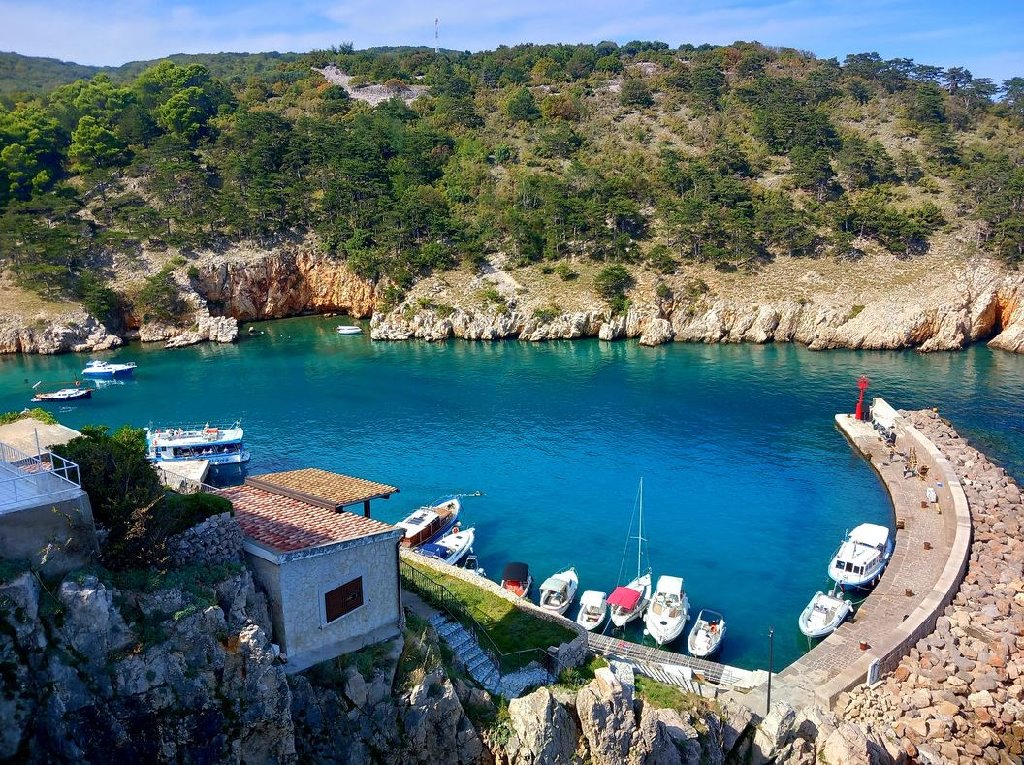 Zajeta slik.JPG