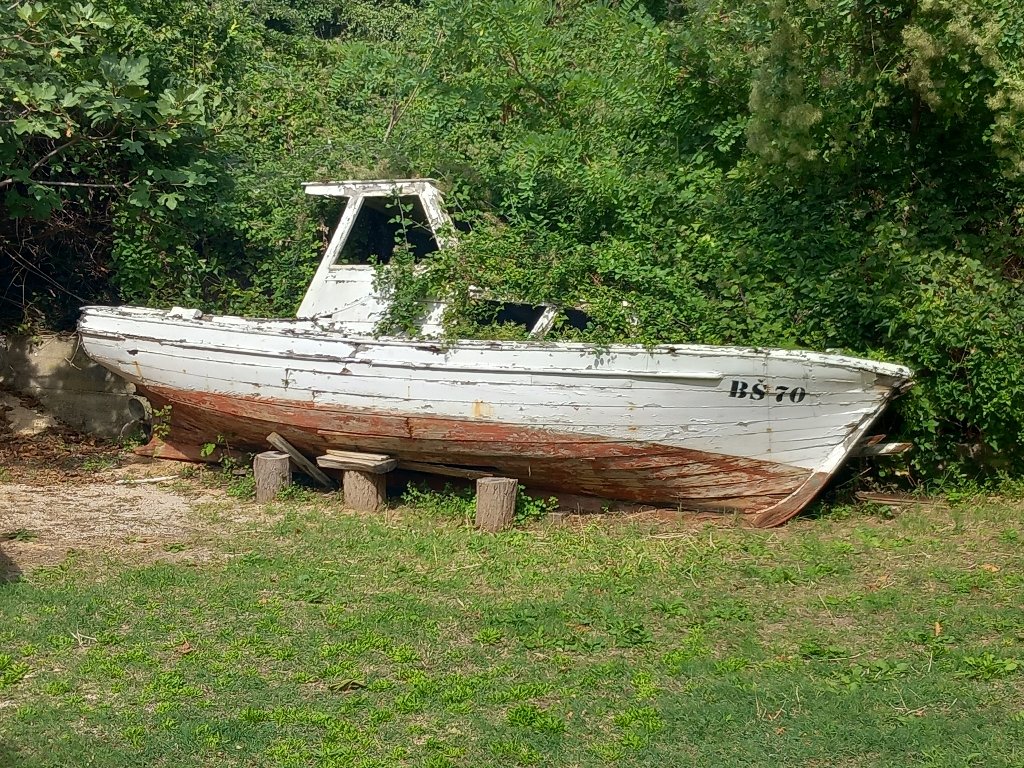 20240922_142430.jpg