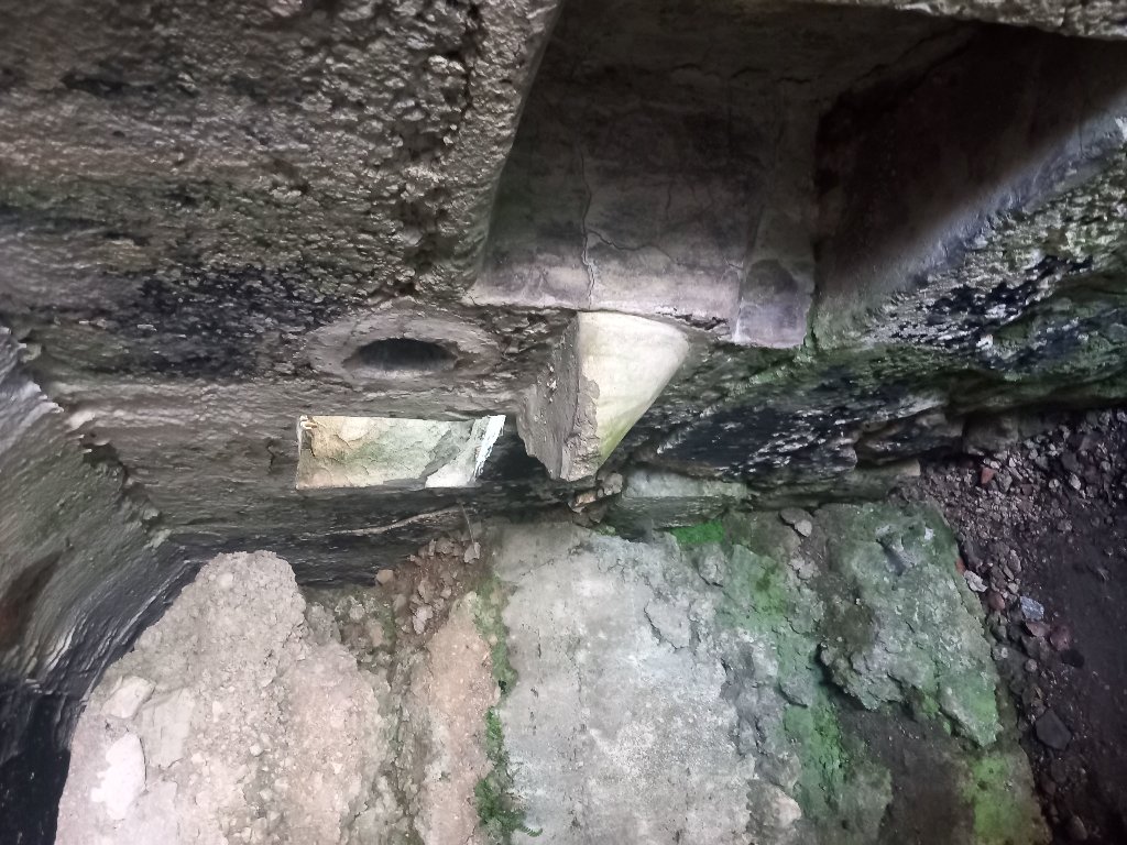 20231001_111317.jpg