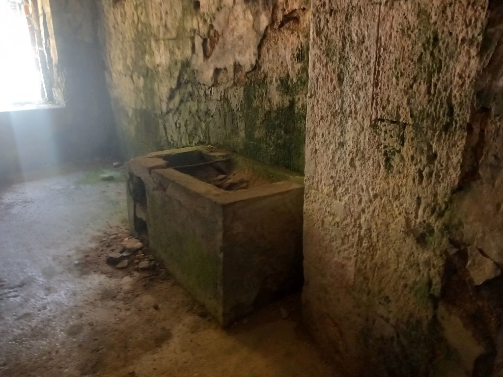 20231001_111428.jpg