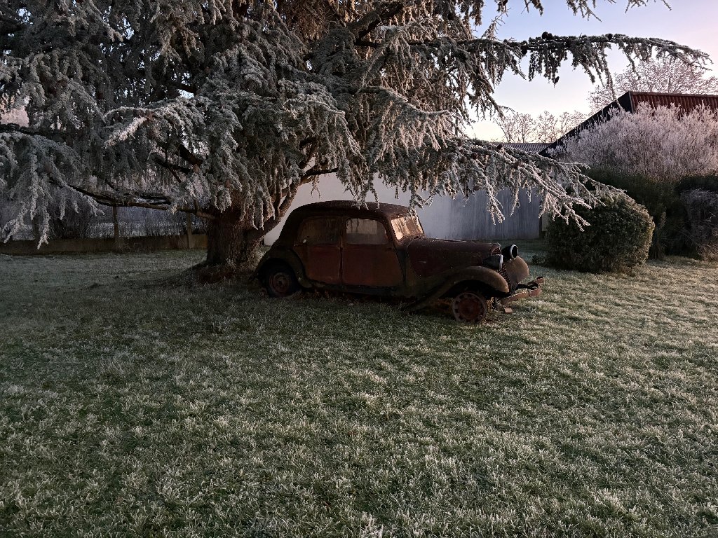 trac 1.1.2025.jpg