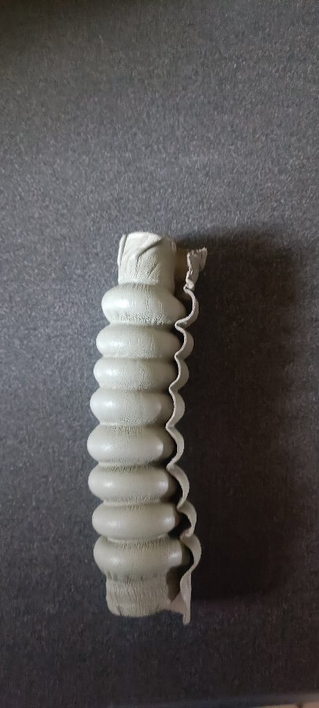 1743144244957.jpg