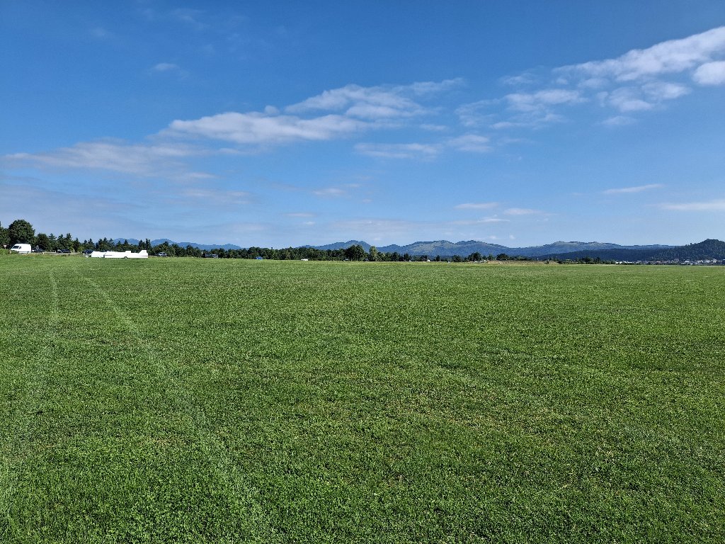 20250719_091426.jpg