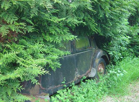 2009_0510_155427A.jpg