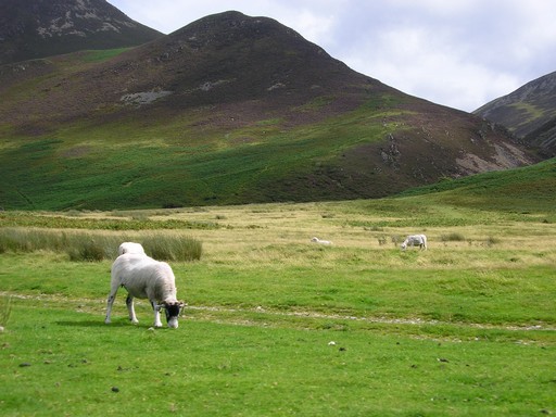Lake 3.JPG