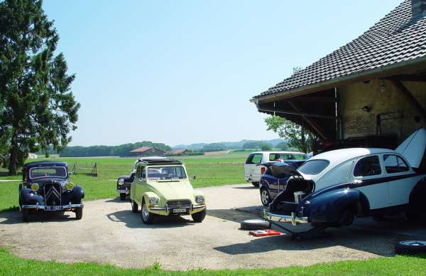 D6042.jpg