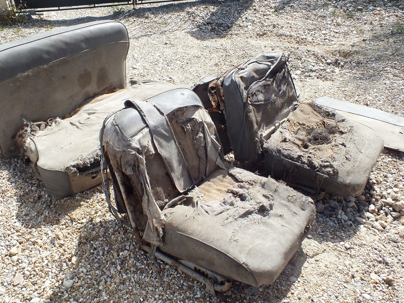 DSCF1793.JPG