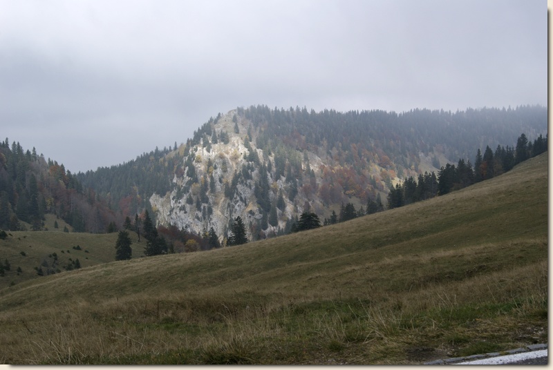 _DSC1057_8.jpg
